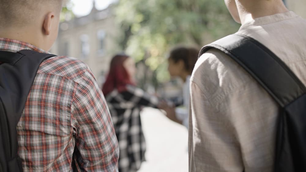 Boys were watching a girl, and one of them was flirting with her, but it was part of a larger bullying problem.