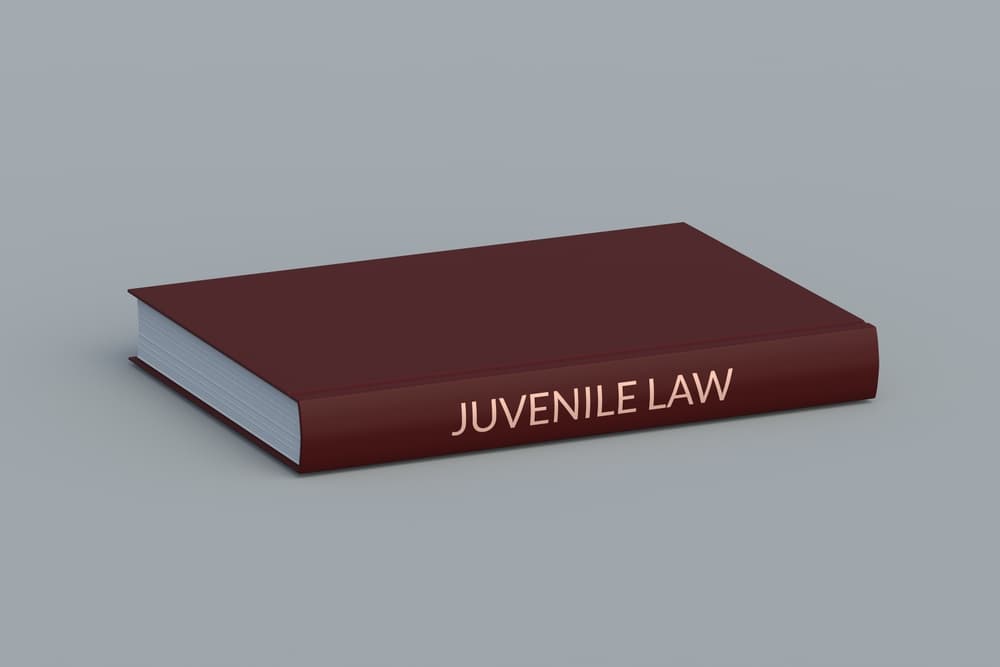 Juvenile law book, legal education and crimes against minors.